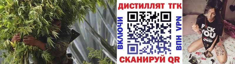 Купить закладки  Петушки  Дистиллят ТГК гашишное масло 